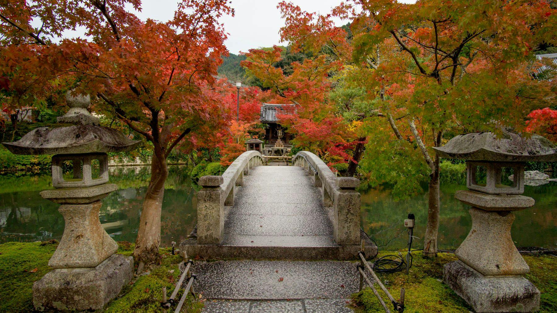 Kyoto: Eikando Temple, Kiyomizu-dera