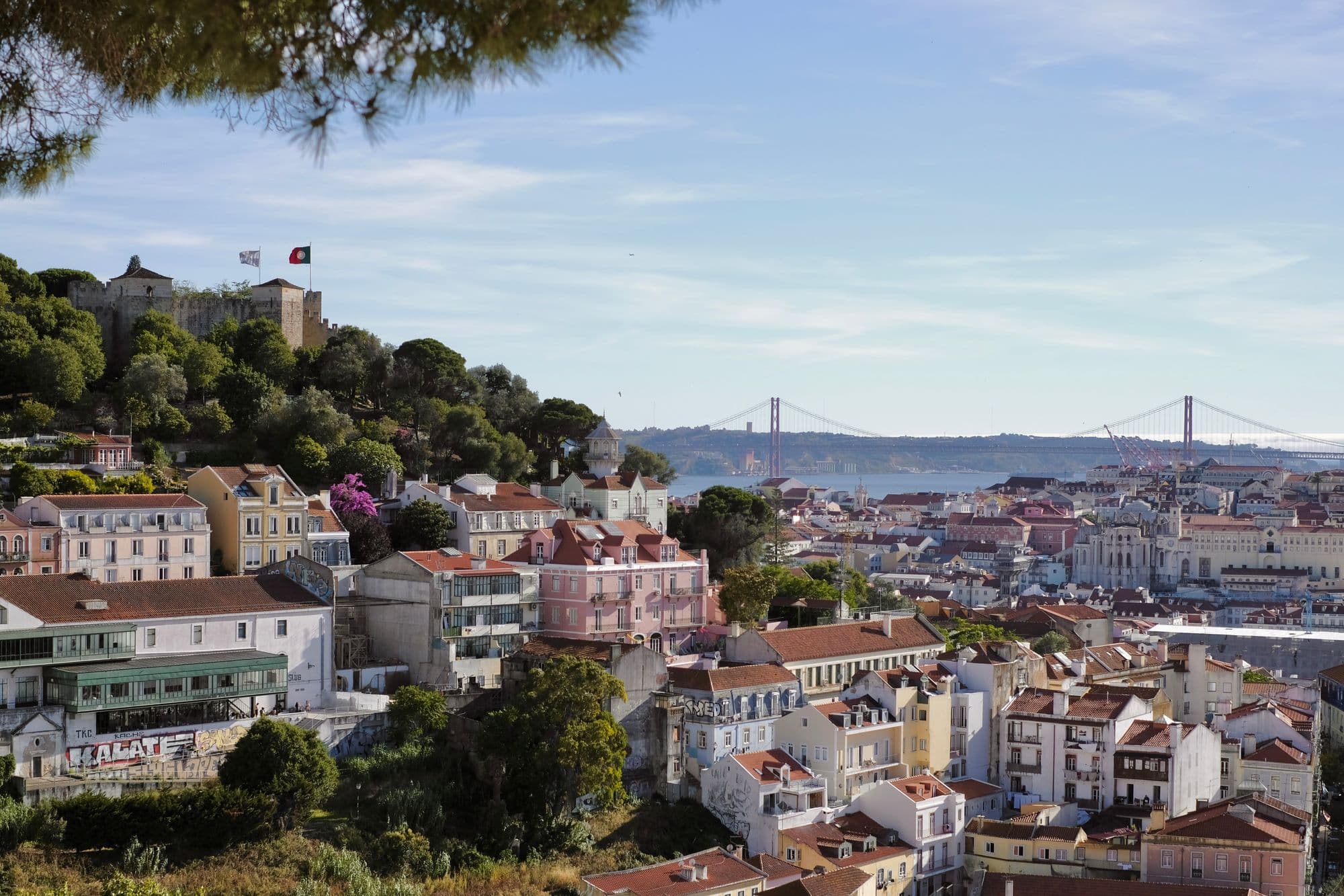 2022 was the year that I...