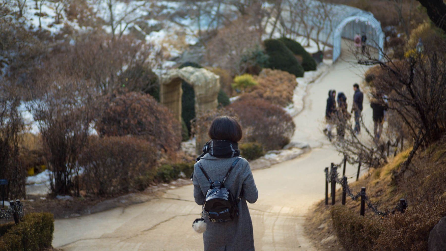 Winter in South Korea: Nami Island and Garden of Morning Calm