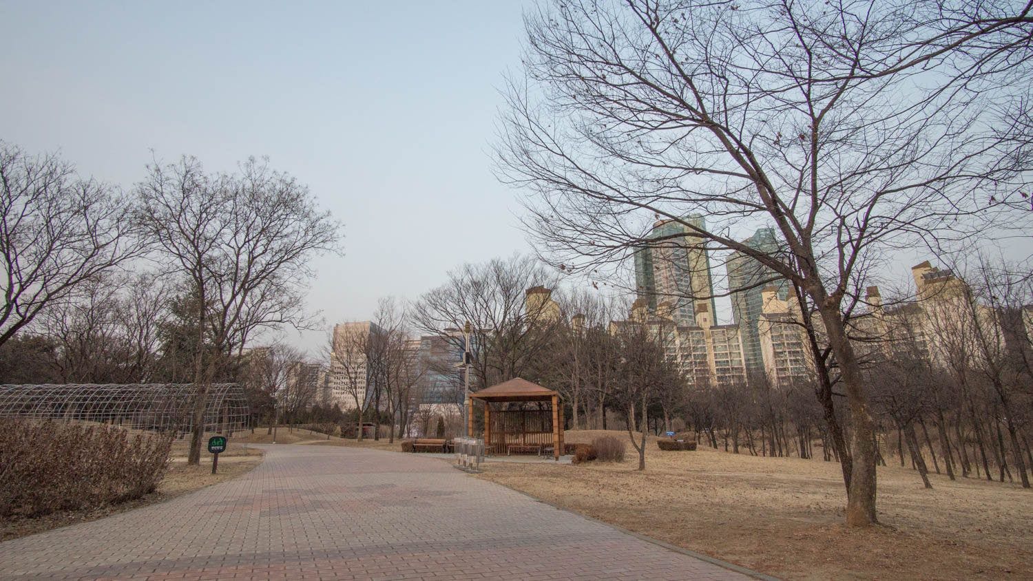 Photo Diary: Seoul in Winter